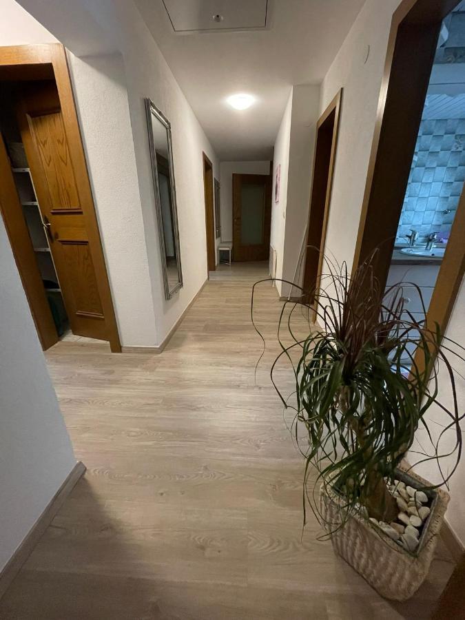 Apartment Wildalmblick Neukirchen am Großvenediger エクステリア 写真